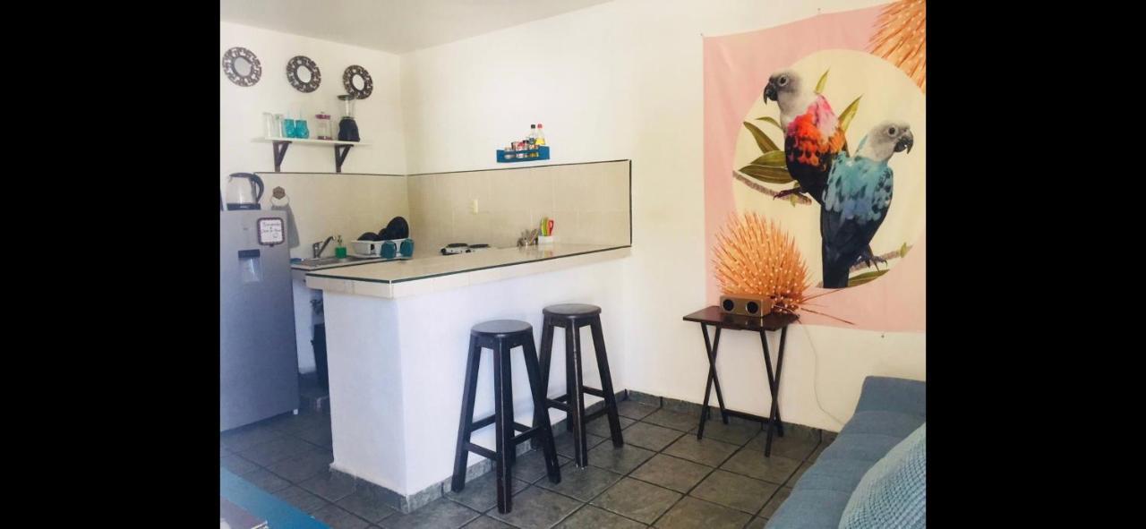 Appartement Casa De Hojas à Playa del Carmen Extérieur photo