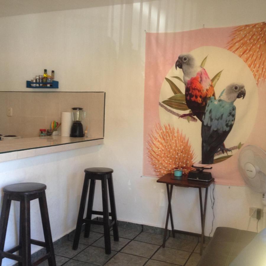 Appartement Casa De Hojas à Playa del Carmen Extérieur photo